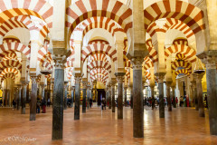 Cathédrale Mosquée - Cordoue
