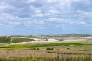 Près de Jerez de la Frontera