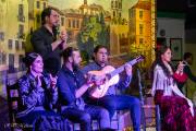 Spectacle de flamenco, quartier Albayzin - Grenade