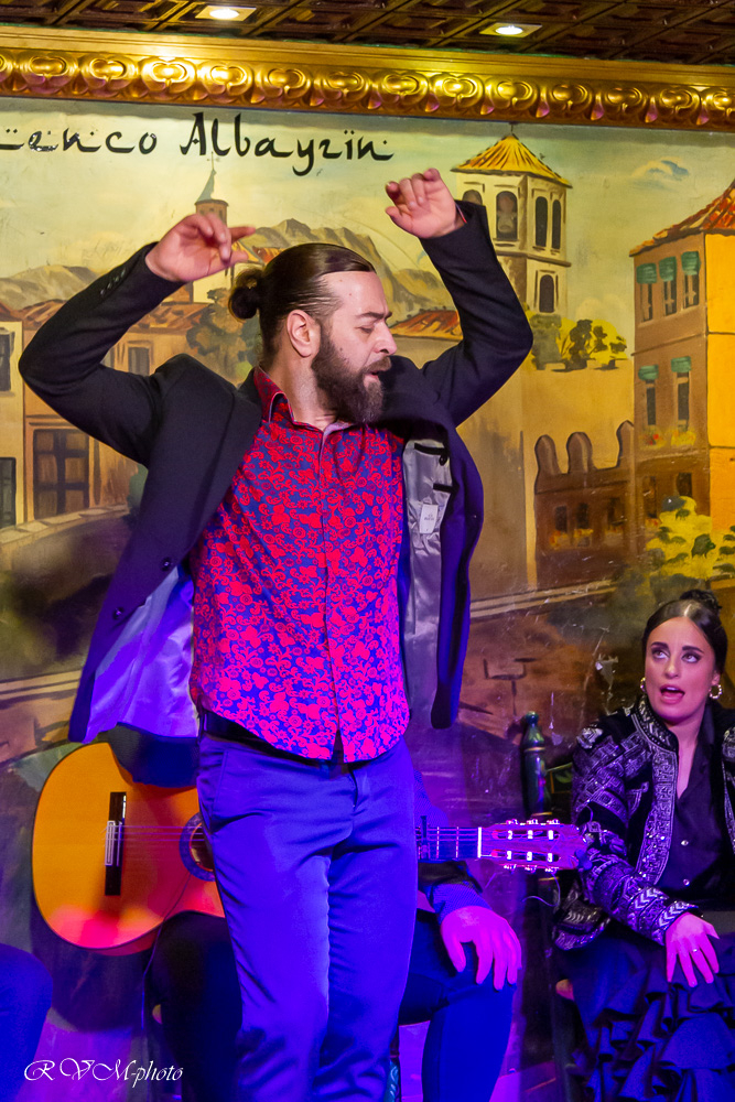 Spectacle de flamenco, quartier Albayzin - Grenade