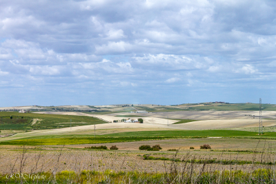 Près de Jerez de la Frontera
