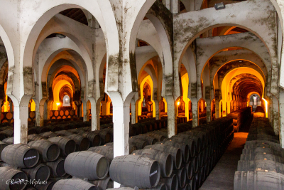 Caves de la bodega Fundador, Jerez, Espagne