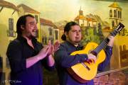 Spectacle de flamenco, quartier Albayzin - Grenade