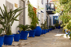 Rue à Hydra