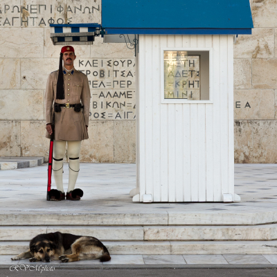Evzone devant le Parlement, Athènes, Grèce