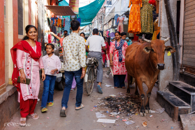 Petite ruelle animée à Bikaner, Inde du nord