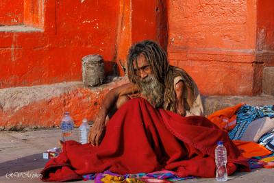 Un Sadhu au bord du Gange à Varanasi (Bénarès), Inde du nord