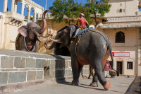 Le City Palace, palais de Maharajah, Udaipur