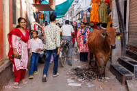 Petite ruelle animée à Bikaner