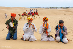 Dromadaires et musiciens traditionnels, désert du Thar
