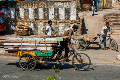 Transport de matériaux par pousse-pousse, c'est dur, Delhi, Inde du nord