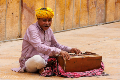 Joueur d'armonium indien, Jaisalmer, Inde du nord