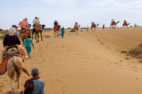 Dromadaires et chameliers, désert du Thar