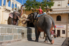 Le City Palace, palais de Maharajah, Udaipur