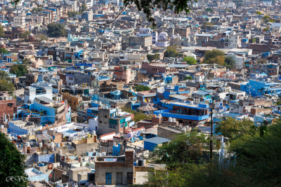 Jodhpur appelée la ville bleue, Inde du nord