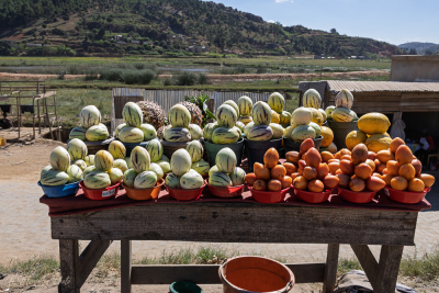 Etalage de fruits en bord de RN7