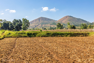 Cultures, village de Betafo