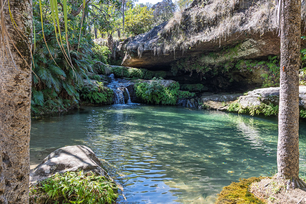 Piscine naturelle, parc national de l'Isalo