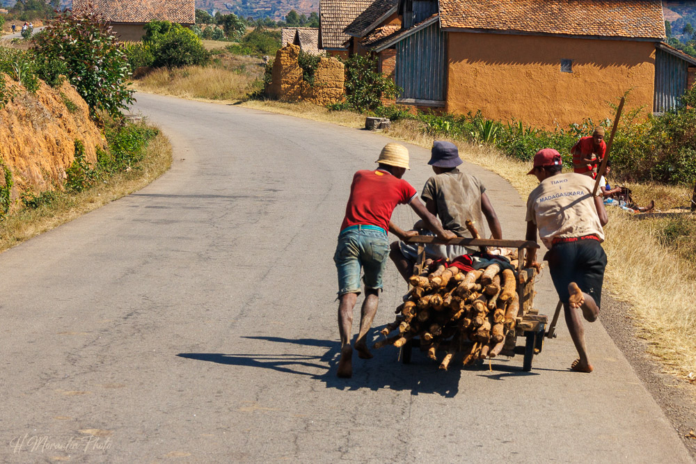 Le chariot à tout faire malgache