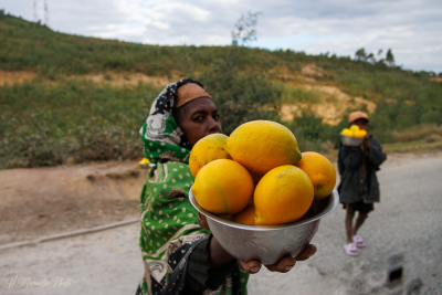 Proposition de fruits en bord de route