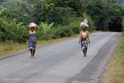 Retour de marché à pied, Ranomafana