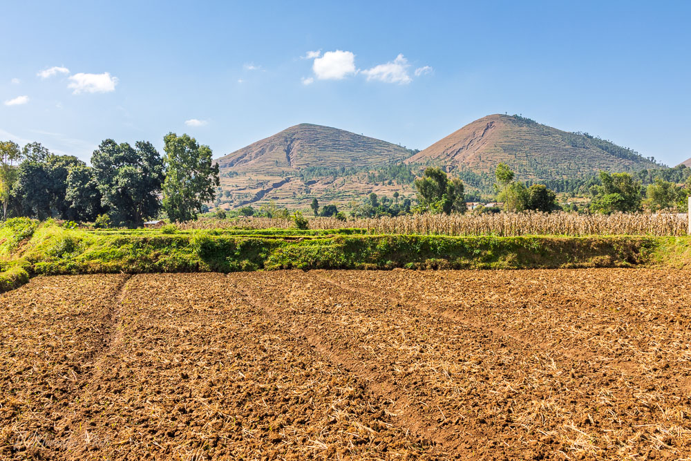 Cultures, village de Betafo