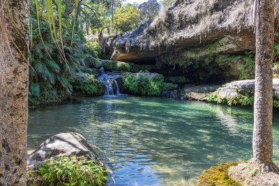 Piscine naturelle, parc national de l'Isalo