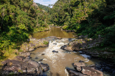 Rivère Namorona, réserve de Ranomafana