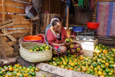 Vendeuse d'oranges au marché, Antsirabe