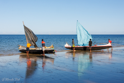 Pirogues à balancier du pays Vezo, lagon d'Ifaty