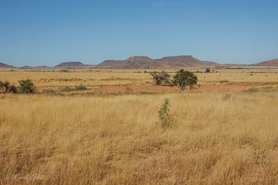 Savane dans le pays Bara