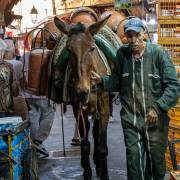 Livreur de bonbonnes de gaz dans le souk, Fès