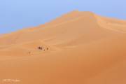 Ascension des dunes de Merzouga