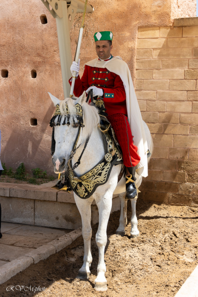 Garde du Mausolée Mohammed V, Rabat, Maroc