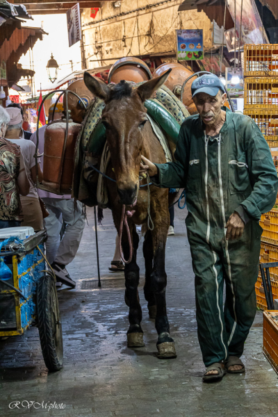 Livreur de bonbonnes de gaz dans le souk, Fès, Maroc