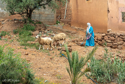 Bergère dans l'Atlas, Maroc