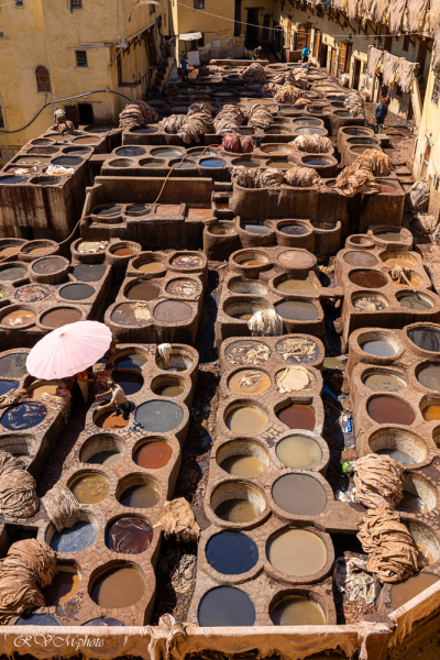 Tannage des peaux, préparation des cuirs, Fès, Maroc