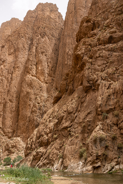 Les gorges de Todra, Atlas, Maroc
