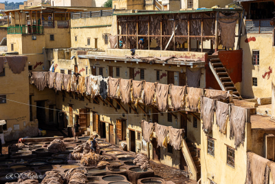 Tannage des peaux, préparation des cuirs, Fès, Maroc