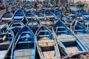 Bateaux, port de pêche d'Essaouira