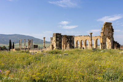 La basilique romane, Volubilis, Maroc