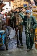 Livreur de bonbonnes de gaz dans le souk, Fès