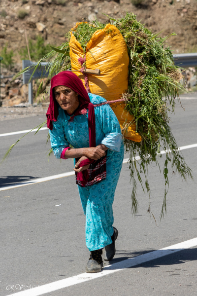 Paysanne au travail, Haut Atlas, Maroc