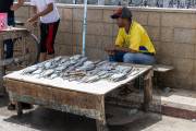 Vente de poissons au port, Essaouira