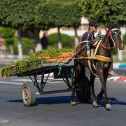 Vers le marché, Safi