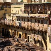 Tannage des peaux, préparation des cuirs, Fès