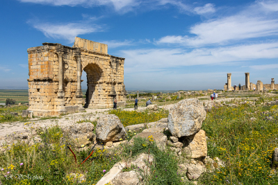 L'arc de triomphe, Volubilis, Maroc