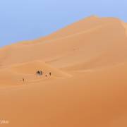 Ascension des dunes de Merzouga