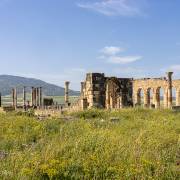 La basilique romane, Volubilis