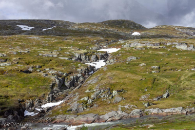 Plateau de l'Hargangervidda